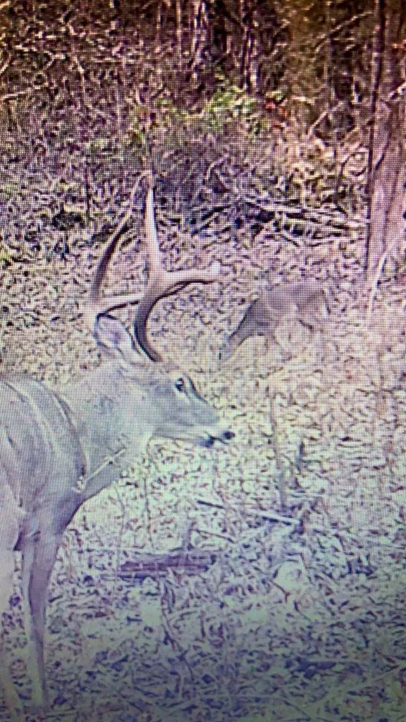 Sweetwater Rd Robbinsville, NC 28771