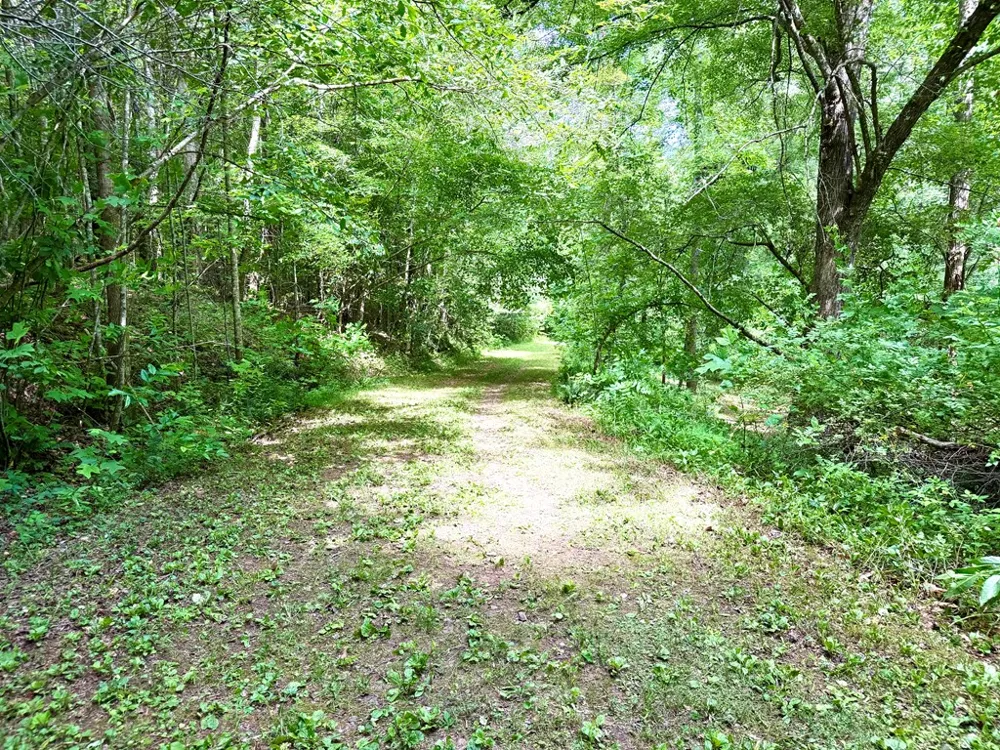 Sweetwater Rd Robbinsville, NC 28771