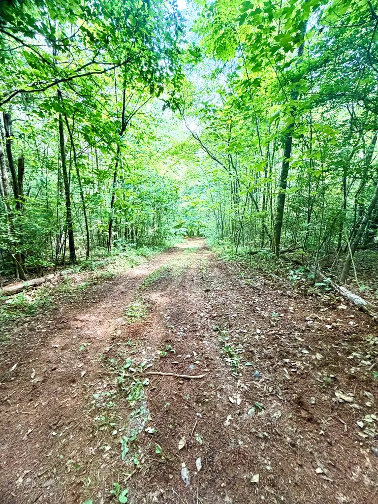 Sweetwater Rd Robbinsville, NC 28771