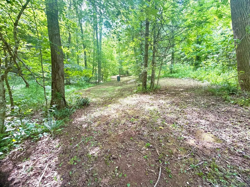 Sweetwater Rd Robbinsville, NC 28771