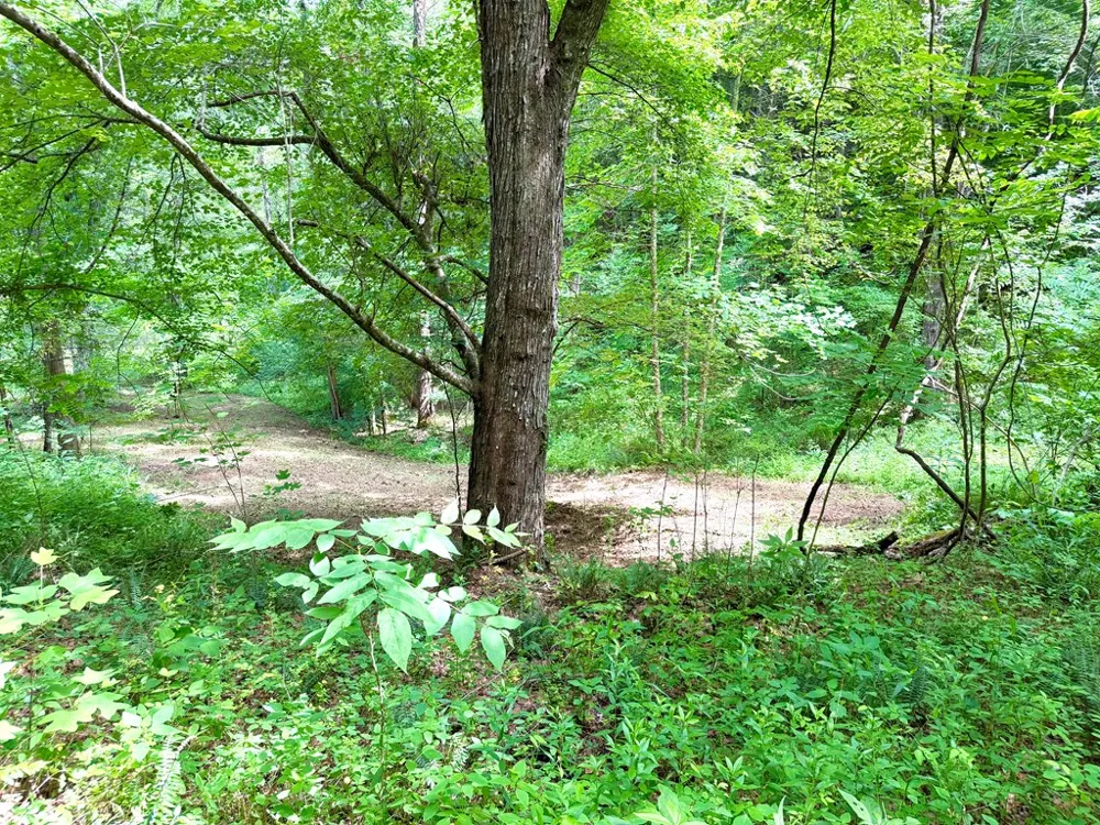 Sweetwater Rd Robbinsville, NC 28771
