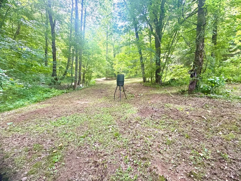 Sweetwater Rd Robbinsville, NC 28771