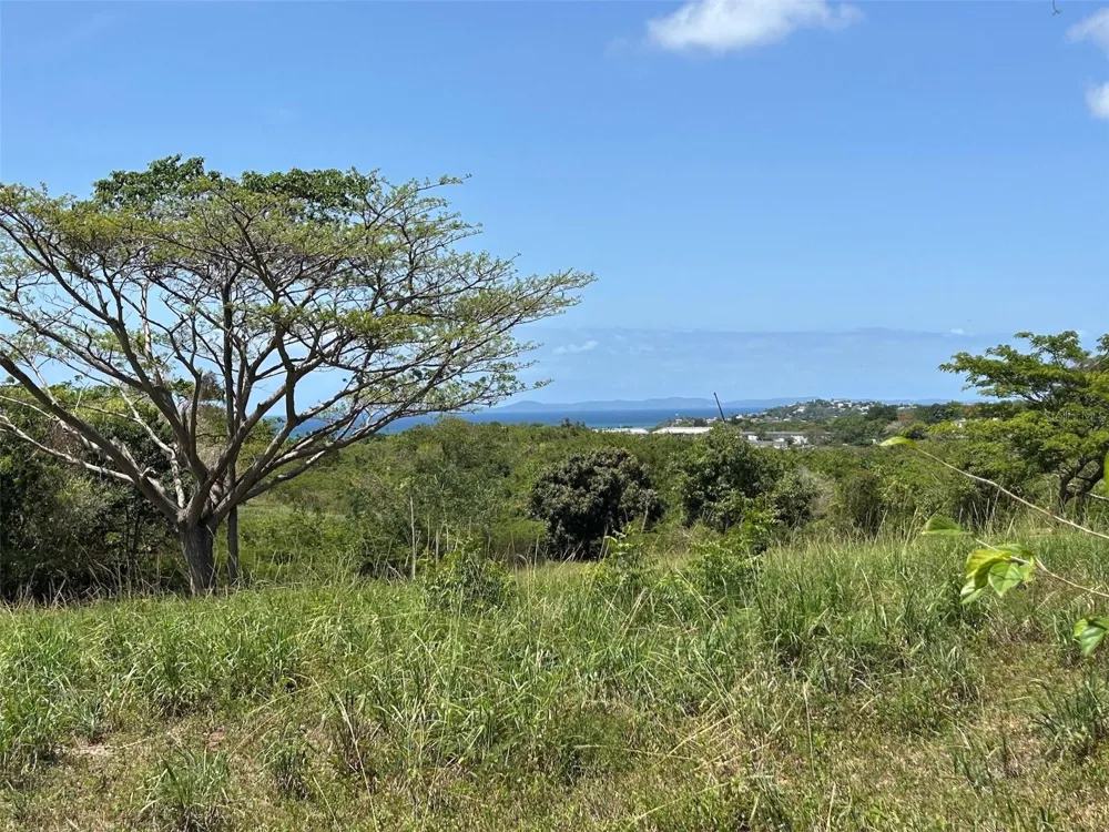 MARTINEAU INTERIOR Vieques, PR 00765