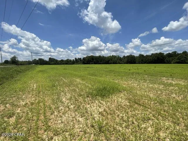 Peanut Road Graceville, FL 32440