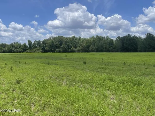 Peanut Road Graceville, FL 32440