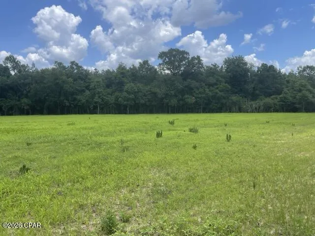 Peanut Road Graceville, FL 32440