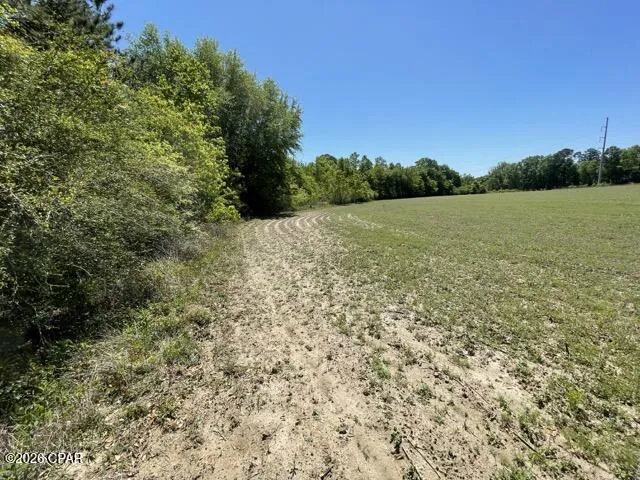 Peanut Road Graceville, FL 32440