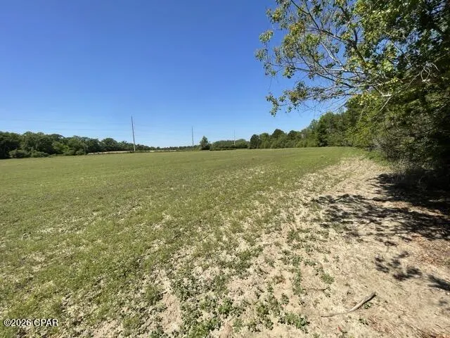 Peanut Road Graceville, FL 32440