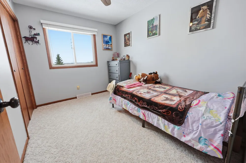 34713 73rd Street Pierz, MN 56364