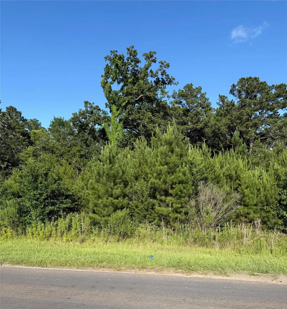 N Hendrix Avenue Diboll, TX 75941