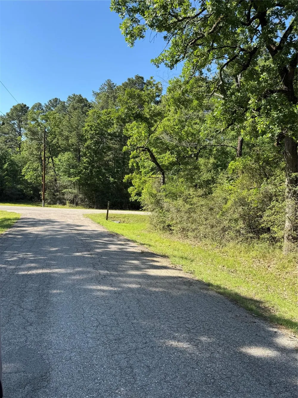 15 Wood Harbor Trinity, TX 75862