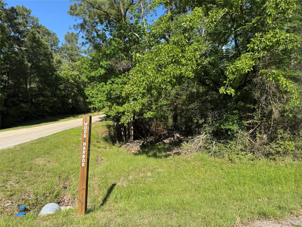 15 Wood Harbor Trinity, TX 75862