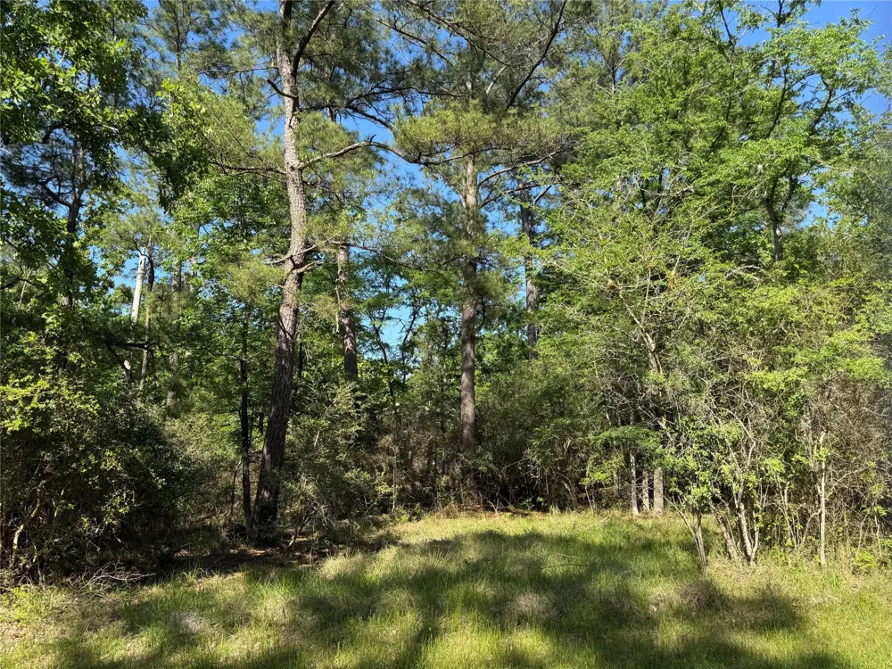 15 Wood Harbor Trinity, TX 75862