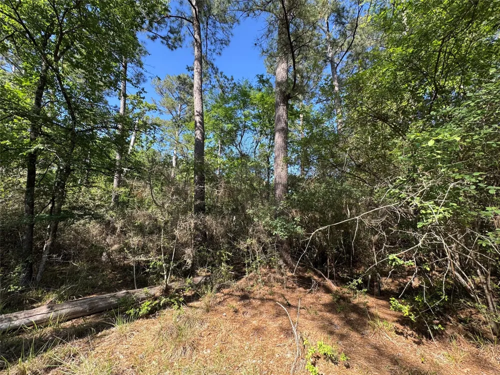 15 Wood Harbor Trinity, TX 75862