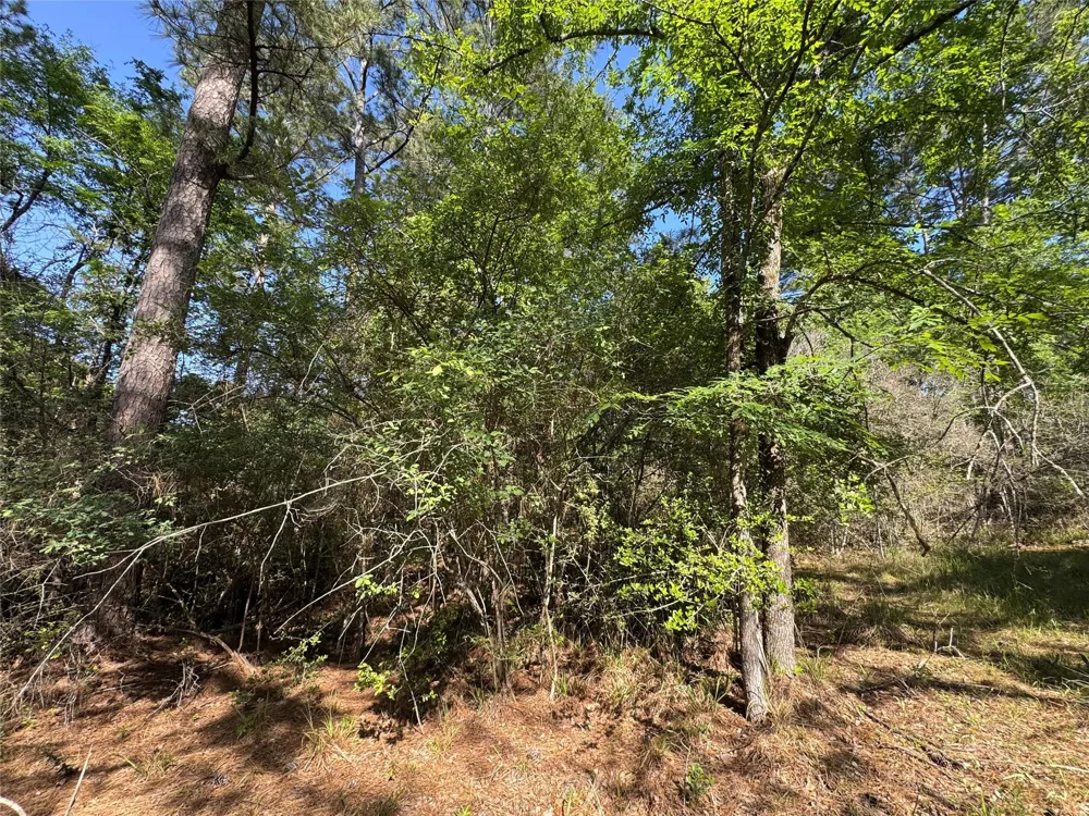 15 Wood Harbor Trinity, TX 75862