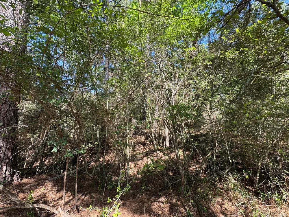 15 Wood Harbor Trinity, TX 75862
