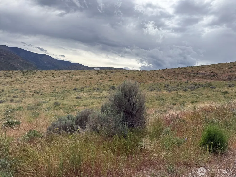 300 Buckhorn Mountain Drive Pateros, WA 98846