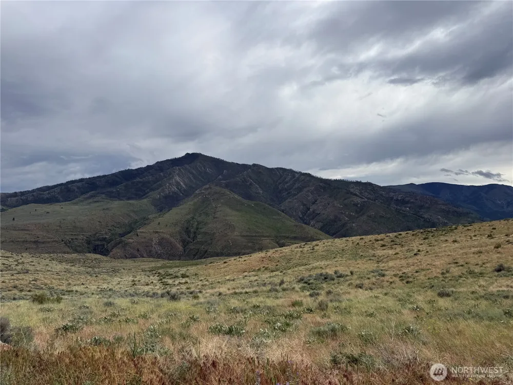 300 Buckhorn Mountain Drive Pateros, WA 98846