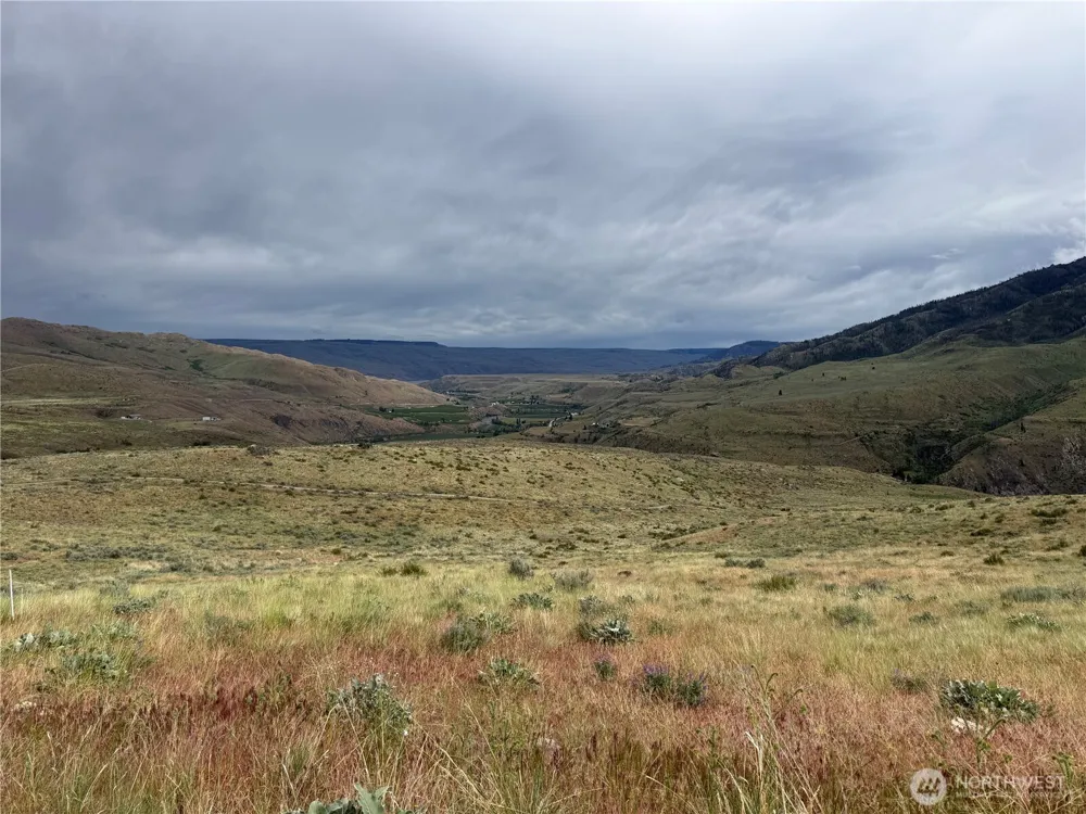 300 Buckhorn Mountain Drive Pateros, WA 98846