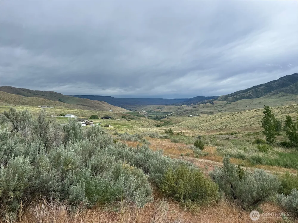 300 Buckhorn Mountain Drive Pateros, WA 98846