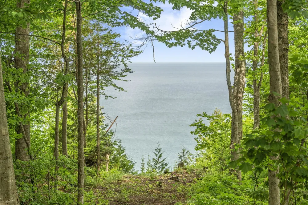 12271 Island View Drive Leelanau Township, MI 49670