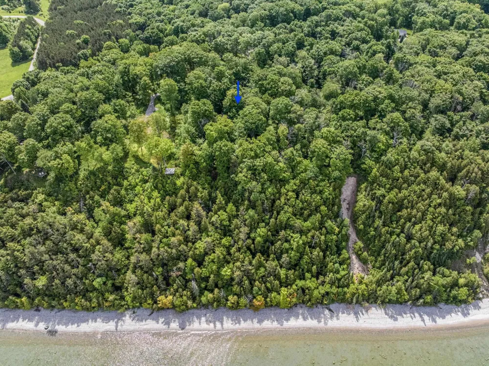 12271 Island View Drive Leelanau Township, MI 49670