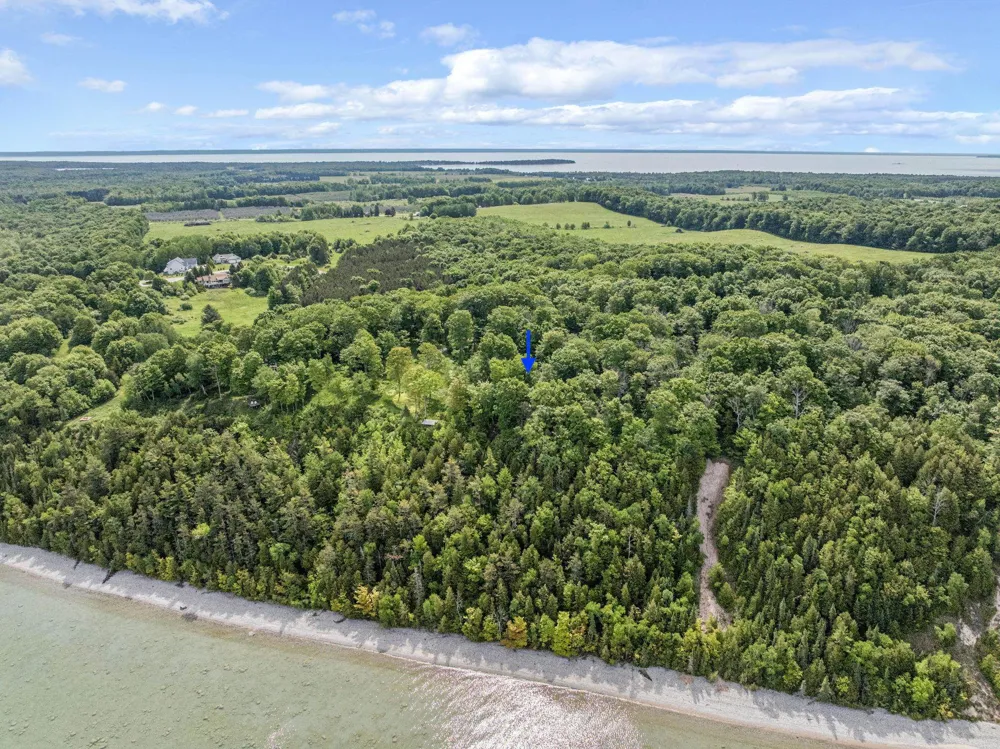 12271 Island View Drive Leelanau Township, MI 49670