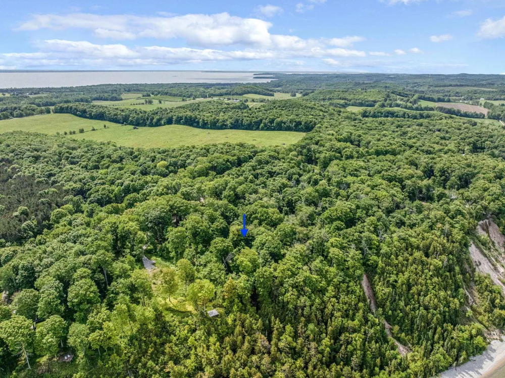 12271 Island View Drive Leelanau Township, MI 49670