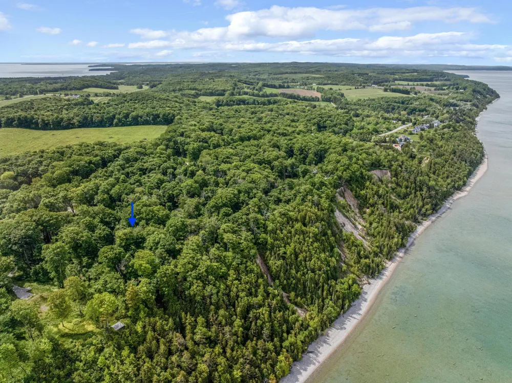 12271 Island View Drive Leelanau Township, MI 49670