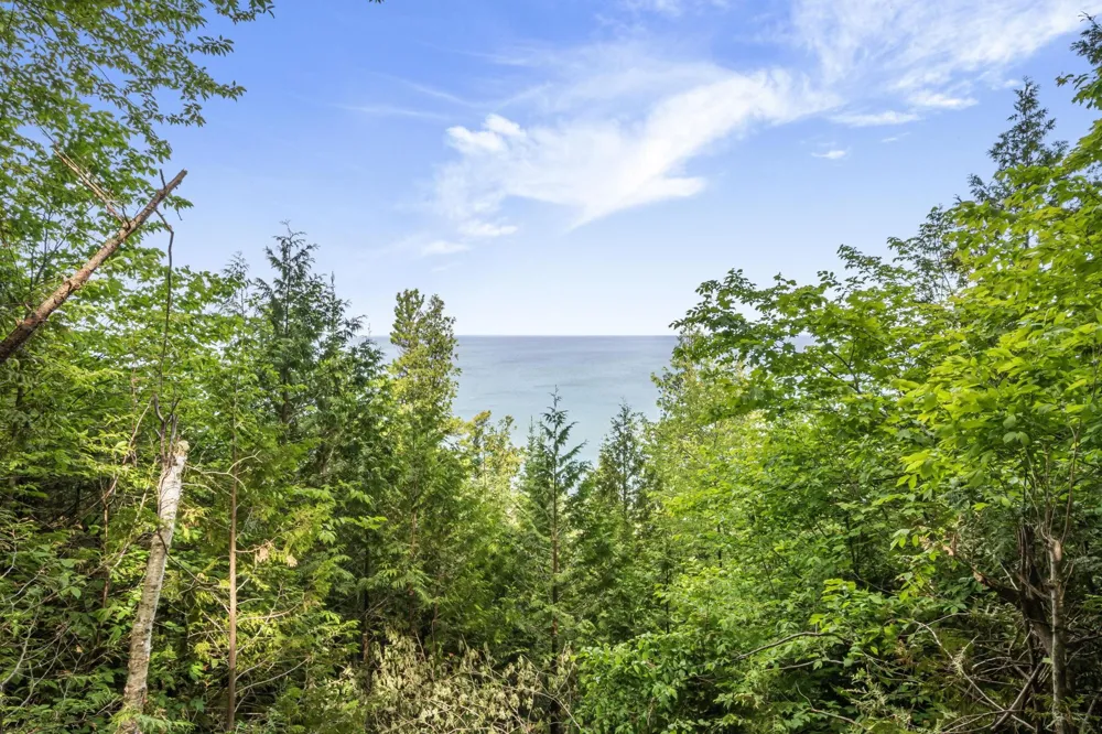 12271 Island View Drive Leelanau Township, MI 49670