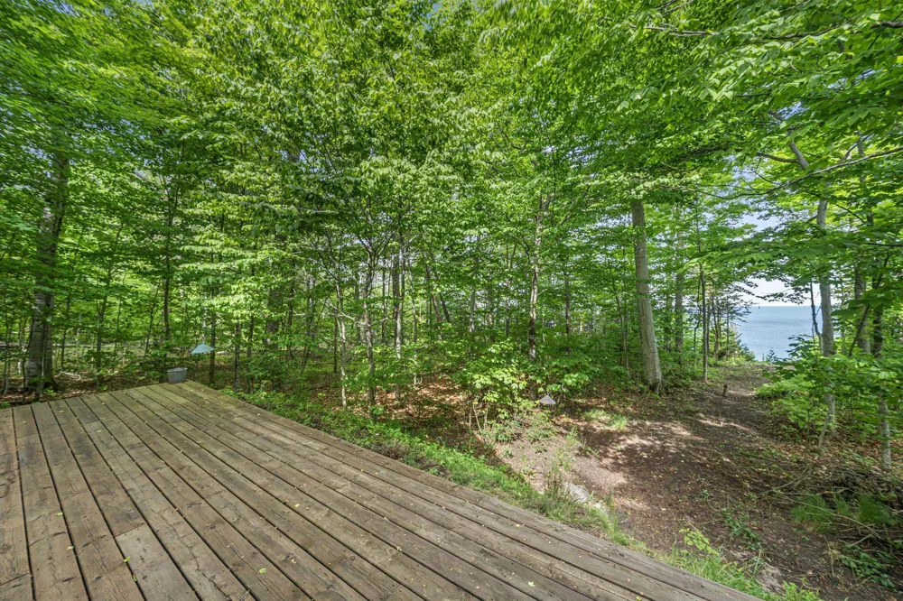 12271 Island View Drive Leelanau Township, MI 49670