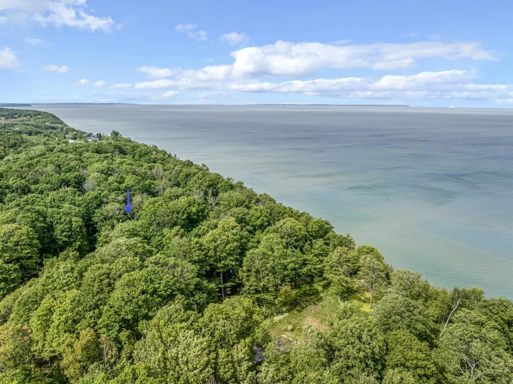 12271 Island View Drive Leelanau Township, MI 49670