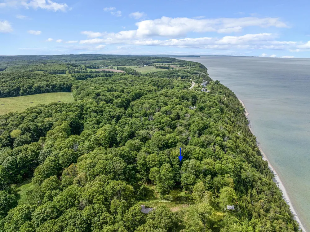 12271 Island View Drive Leelanau Township, MI 49670