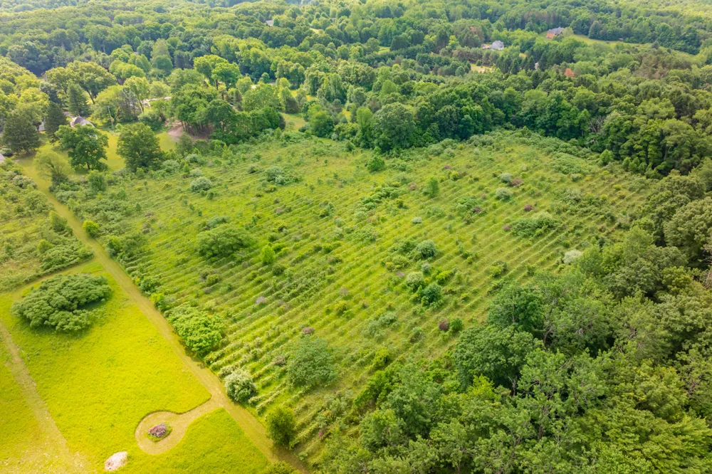 8650 S 2nd Street Texas Charter Township, MI 49071