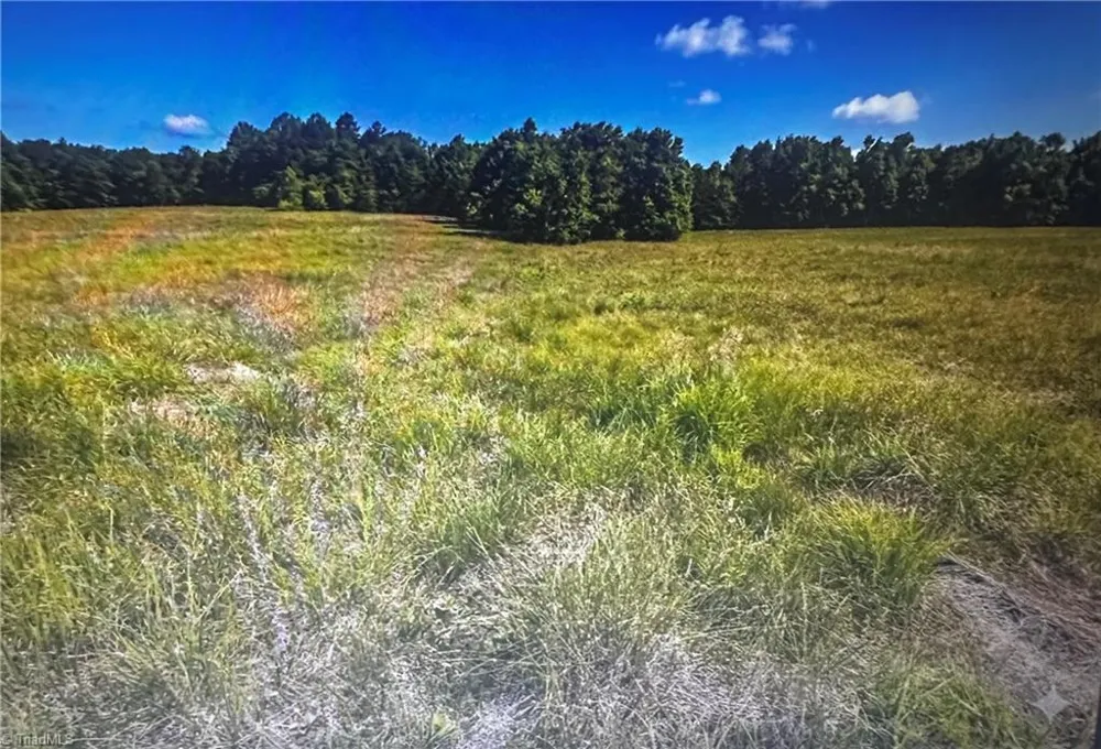 1 George Miles Road Burlington, NC 27217