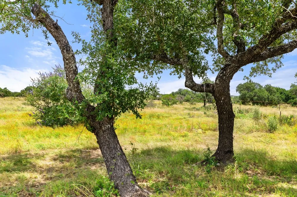 784 River View Drive Johnson City, TX 78636