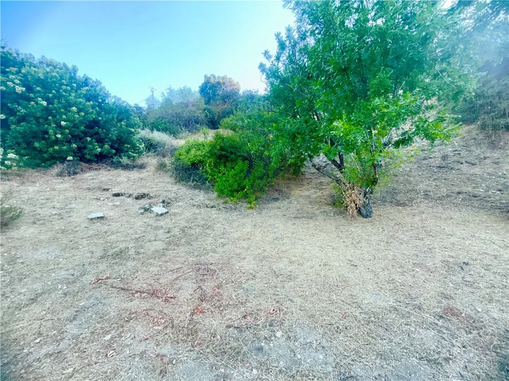 4551 Lindley Avenue Tarzana, CA 91356