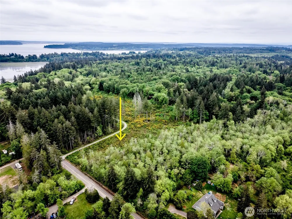 2 Lot 156th Avenue SW Lakebay, WA 98349