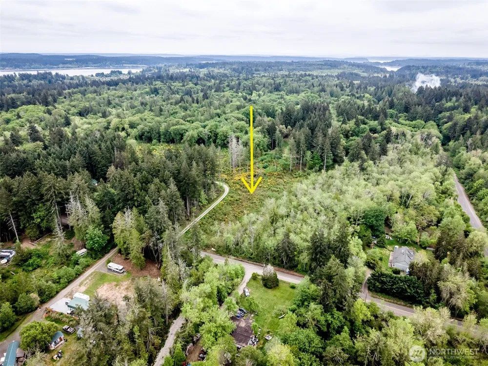 2 Lot 156th Avenue SW Lakebay, WA 98349