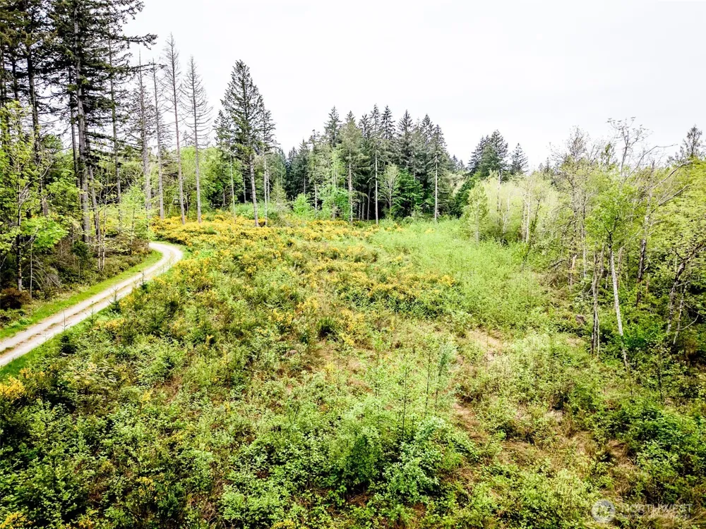2 Lot 156th Avenue SW Lakebay, WA 98349
