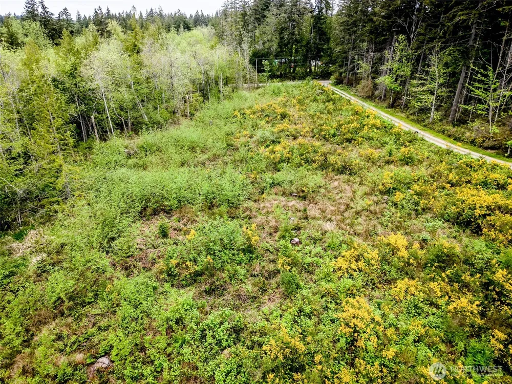 2 Lot 156th Avenue SW Lakebay, WA 98349