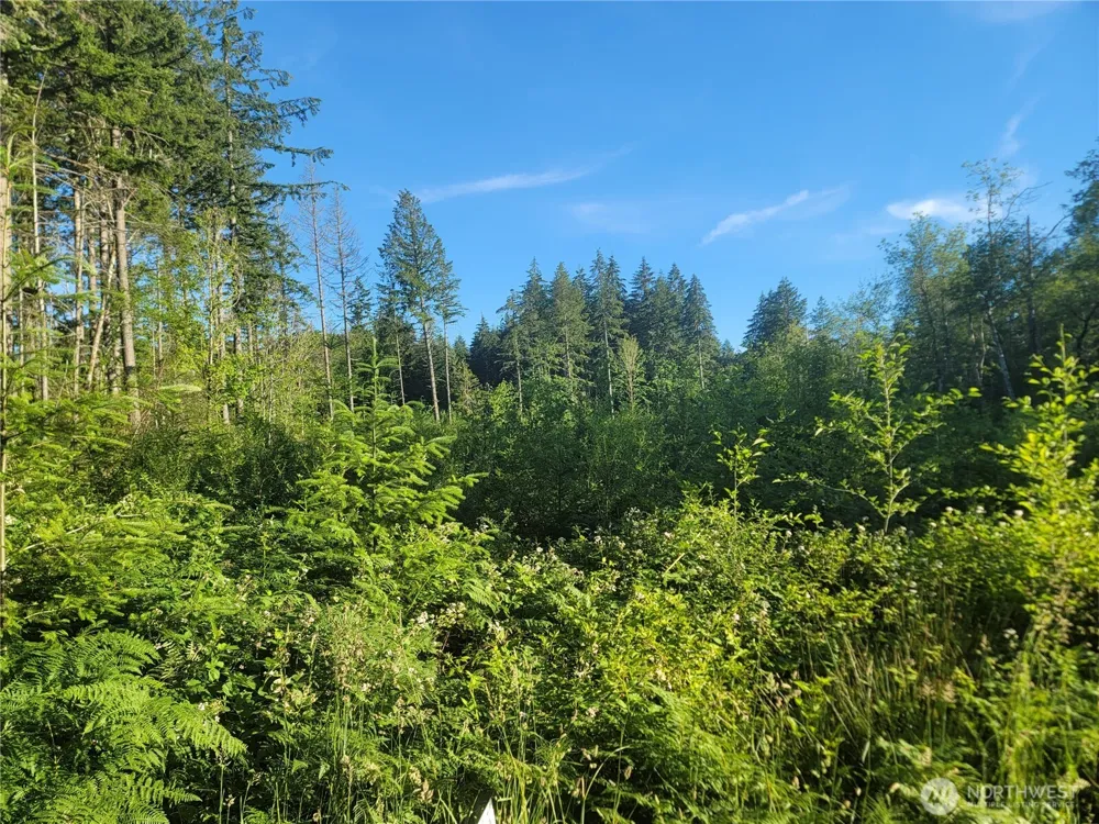 2 Lot 156th Avenue SW Lakebay, WA 98349