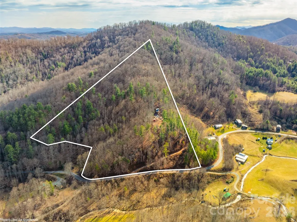 2504 Upper Paw Paw Road Marshall, NC 28753
