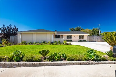 393 Mountain View