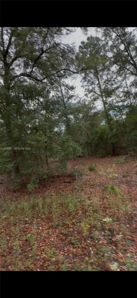 1699 SW 153 Ct ocala, FL 34481