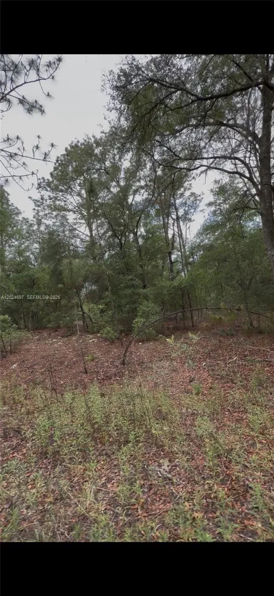 1699 SW 153 Ct ocala, FL 34481