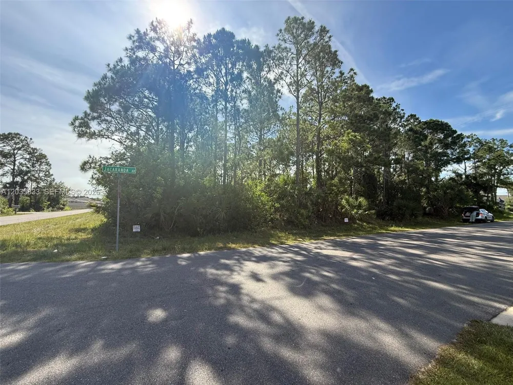 202 Jacaranda AVE NW Palm Bay, FL 32907