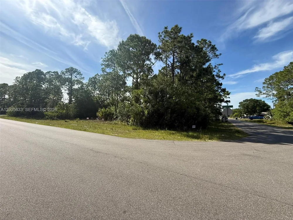 202 Jacaranda AVE NW Palm Bay, FL 32907