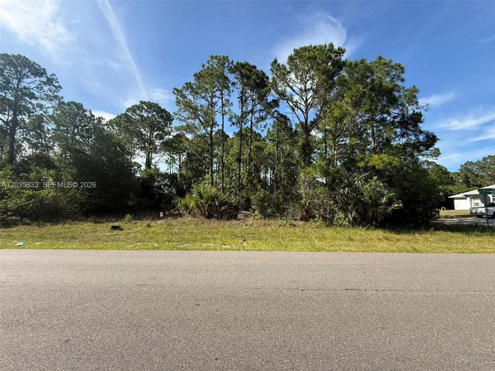 202 Jacaranda AVE NW Palm Bay, FL 32907