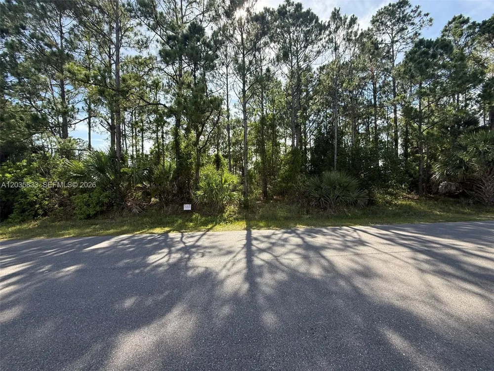 202 Jacaranda AVE NW Palm Bay, FL 32907
